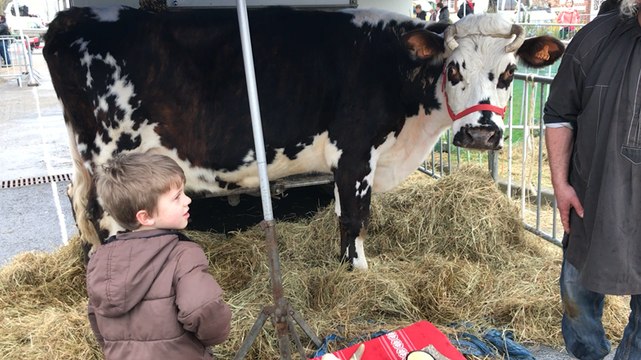Première traité pour Clément, à la Foire de printemps de Saint-Pierre-en-Auge
