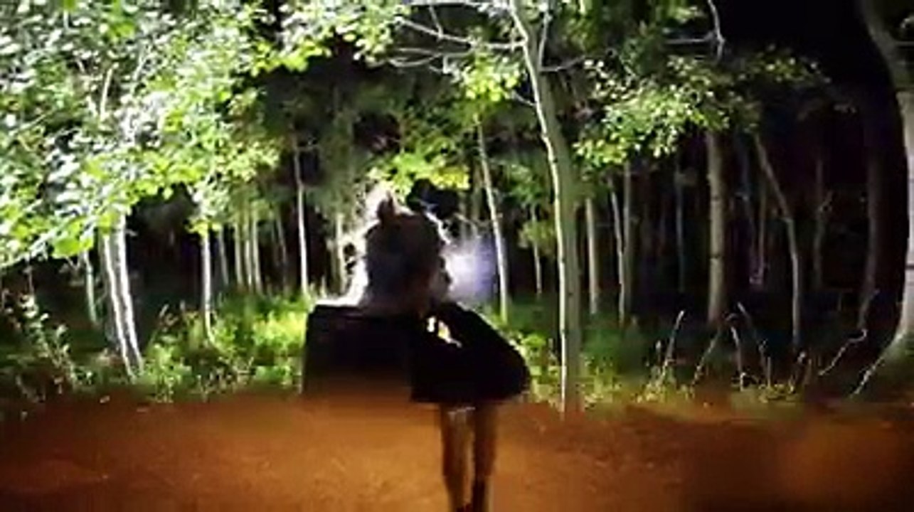 Eclairage et Défense avec lampe tactique