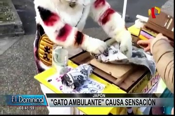 Tải video: Un ‘gato’ vendiendo comida en Japón causa furor en las redes sociales