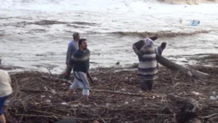 Vatandaşardan Sel Önünden Kütük Kapma Yarışı