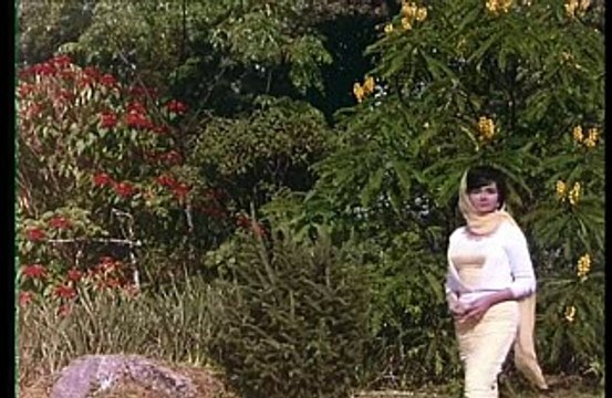 Tum Agar Sath Denay Ka Wadah Karo - Mahendra Kapoor - Lyrics Sahir Ludhianvi - Music Ravi - Film Humraz