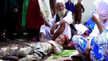 Pashto New Songs 2017 Hasib Arman Naweed Muhabat - Da Halato Qurbanyan De