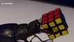 Just a stag beetle holding a Rubik's cube