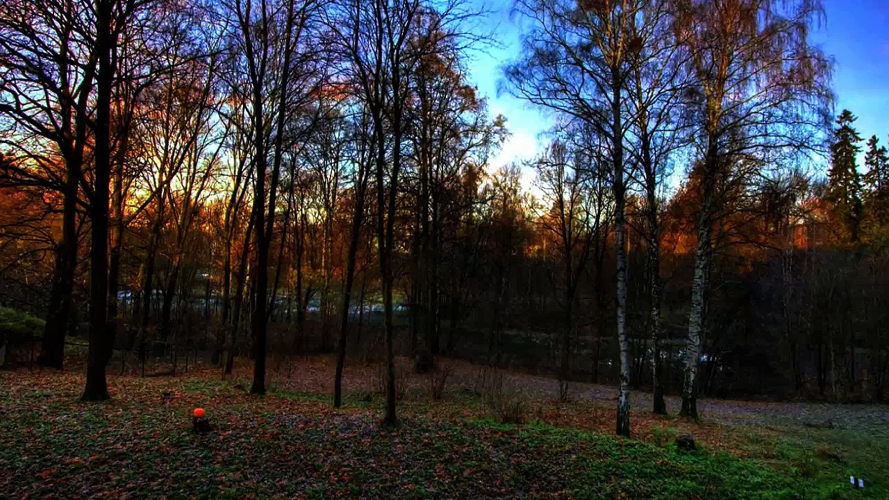 Zülfü Livaneli - Karlı Kayın Ormanı (Duygusal Şarkılar HD) Mu©o