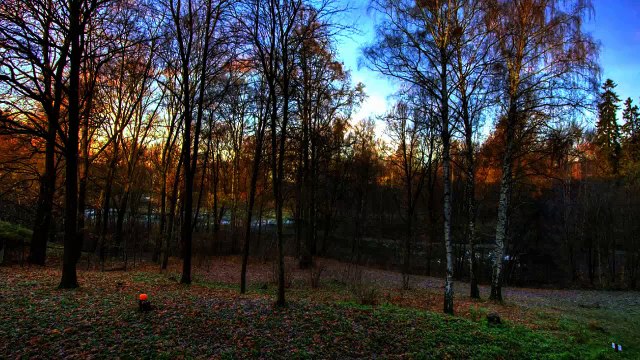 Zülfü Livaneli - Karlı Kayın Ormanı (Duygusal Şarkılar HD) Mu©o