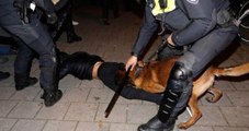 Hollanda Polisinin Köpekle Saldırdığı Türk Genci Dehşet Dolu Anları Anlattı