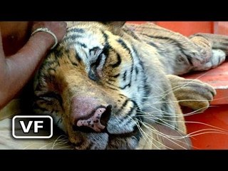 L'Odyssée de Pi Bande Annonce VF Teaser