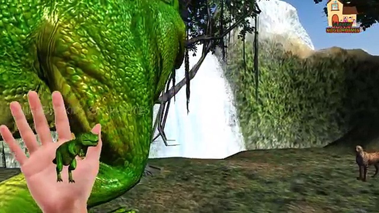 Lion Vs Bear Finger Family Nursery Children 3d Animated Kids Songs