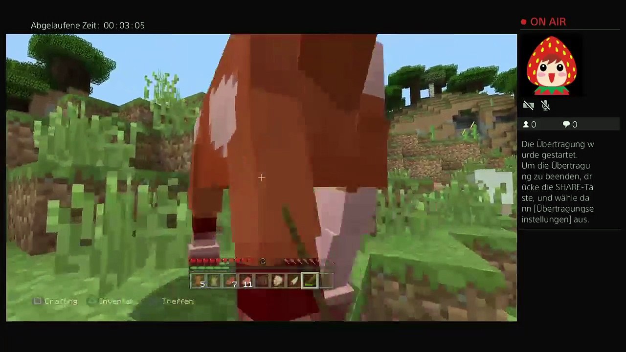 PS4-Live-Übertragung von mir (13)