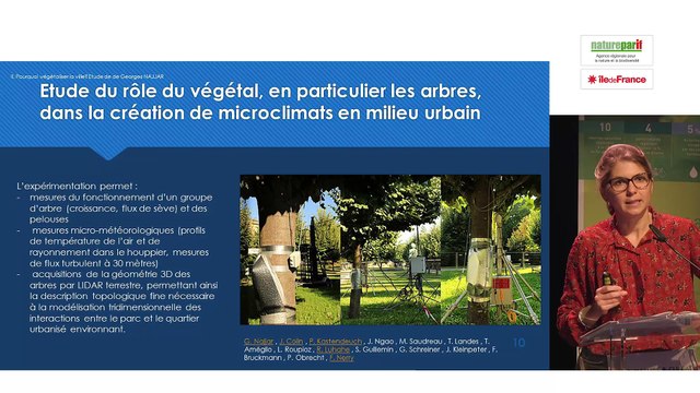 Végétation et îlot de fraîcheur urbain par Suzanne Brolly, responsable Biodiversité, Eurométropole de Strasbourg