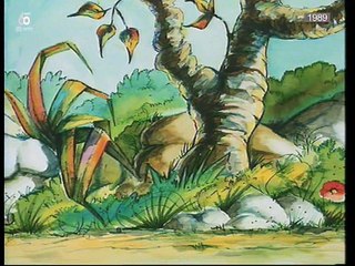 Pit o Coelhinho Verde 01 - 11.03.2017