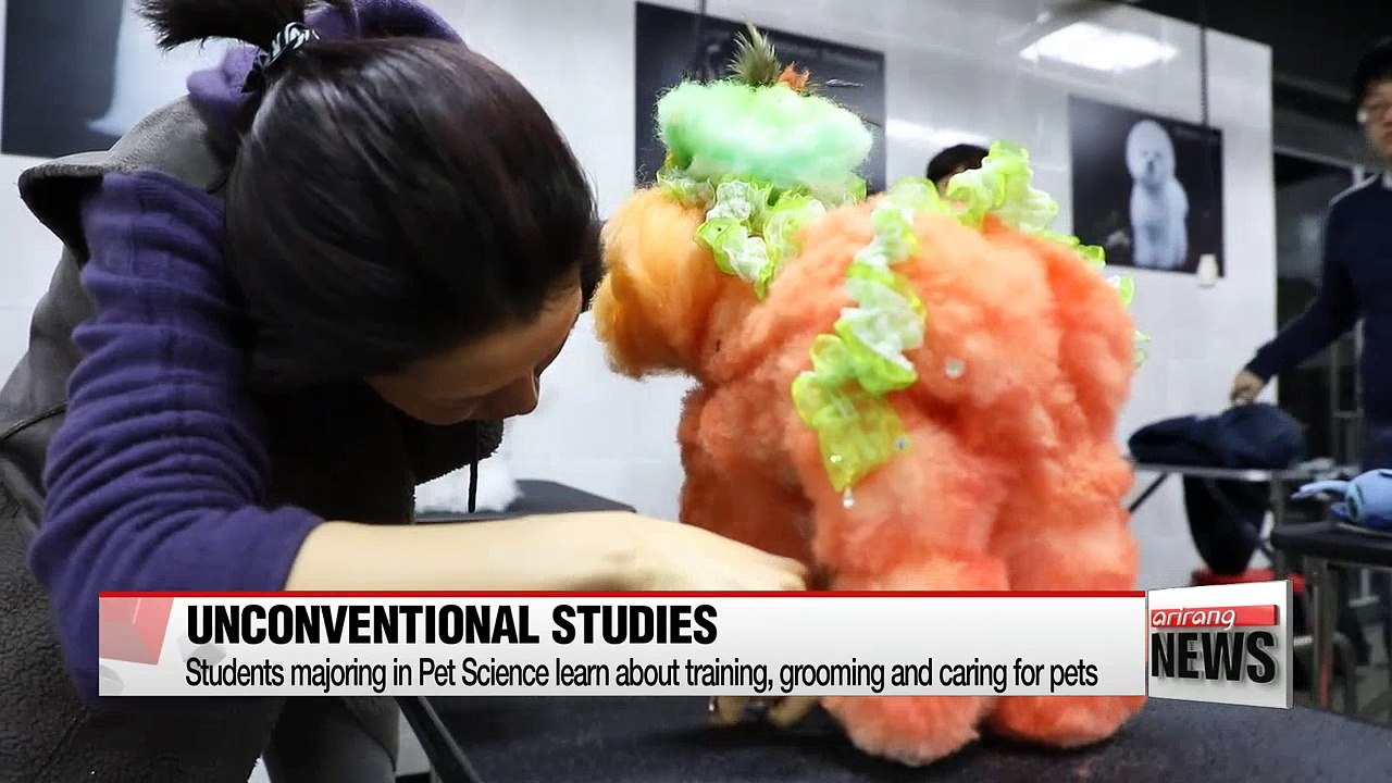 Young Koreans turning to unusual studies and vocational training to boost their employment chances