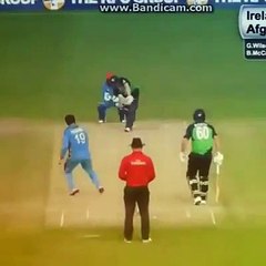 Check out the Celebration of Afghani Player Muhamamd Shehzad After Doing Stumping
