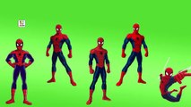 ★ Spiderman BABY Finger Family Nursery Rhyme ★ Daddy Finger Songs For Kids, Babies & Toddl
