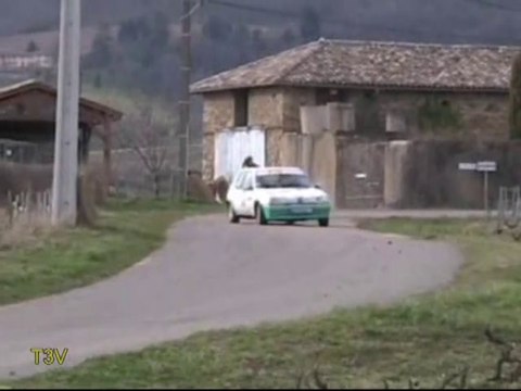 Rallye Vignes de Régnié 2008 N°2