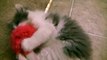Детка ребенок центр проверить Клиника милый доктор котенок Котята жизнь играть реальная ветеринарный врач вес вес вес в Mcstuffins d