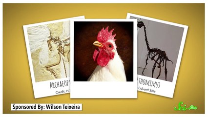 What Did Dinosaurs Taste Like?