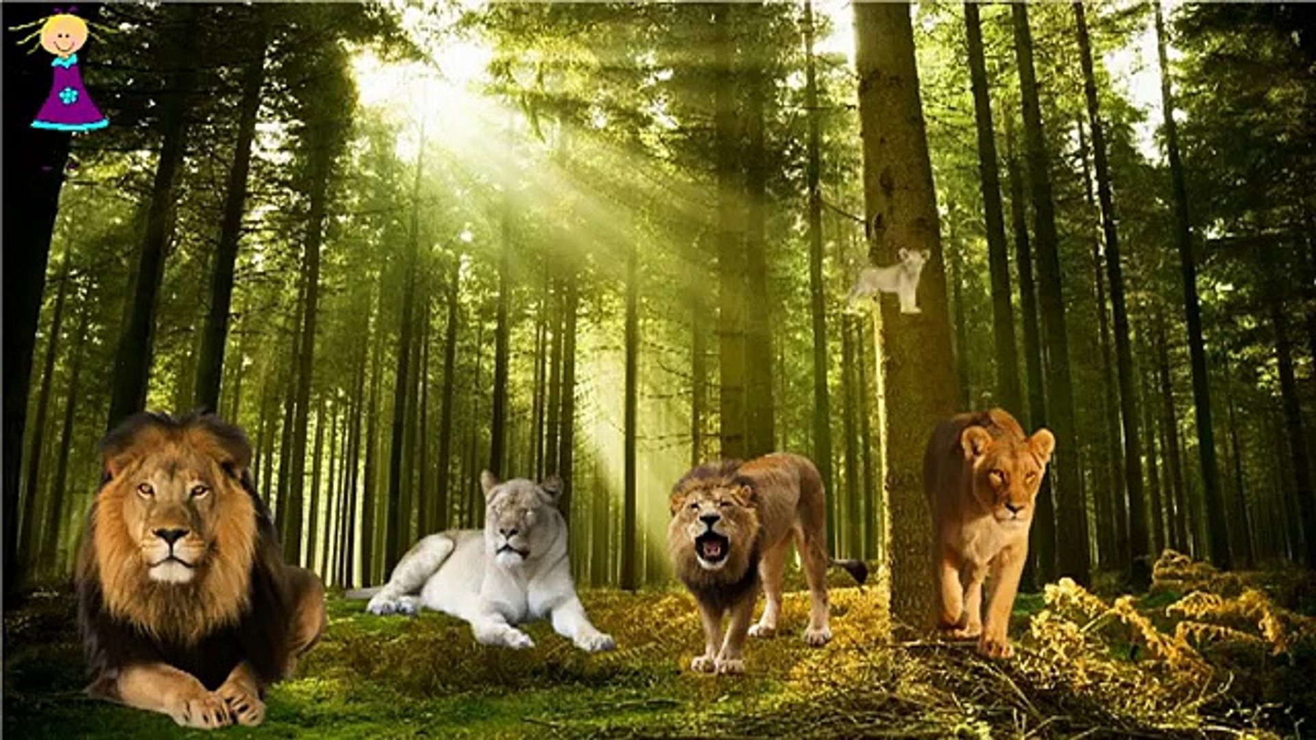 Dinosaurs Vs Lion Gorilla Elephant Finger Family Nursery Rhymes & Cartoon Short Movies For