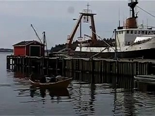 Stan Rogers Strings and Dory Bug