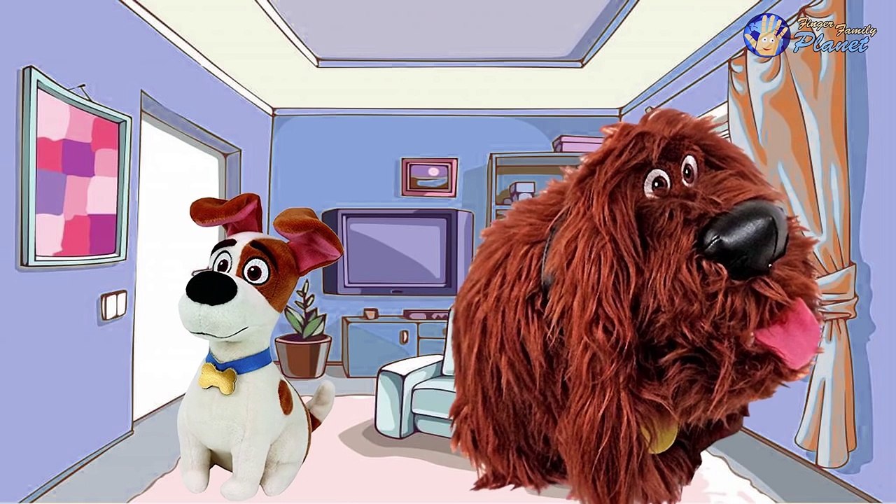 The Secret Life of Pets Finger Family Song: Pets Finger Family Names of Characters | Max S