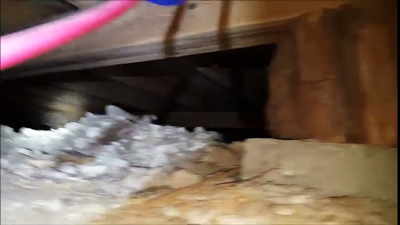 Dallas Home Inspector Finds A Cedar Stump Pier | (214) 960-1005 | CALL US!