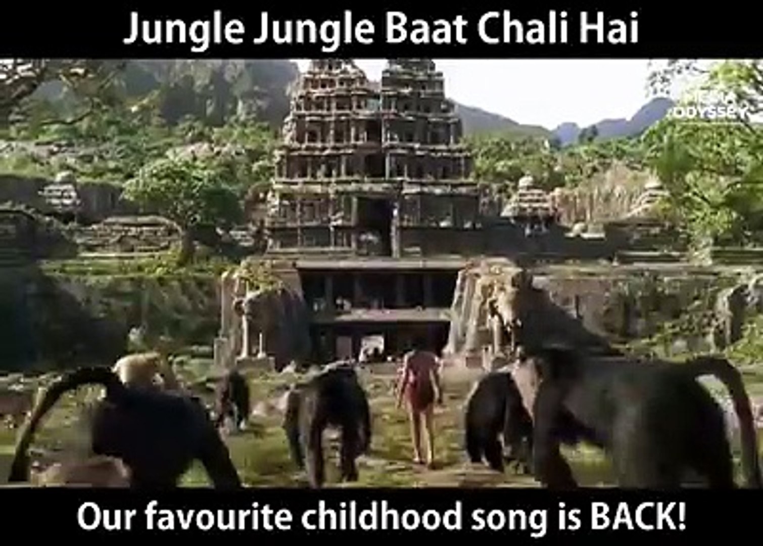 entertainment video (moghli)