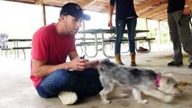 DCTC Vlog: Amy Jo & Brandon take Zumi & Roc to Doggy Camp | DCTC Dog Vlog