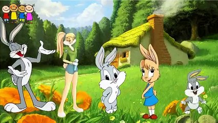 Baby So- Pear-Owl-Pumpkins Finger Family Song fo