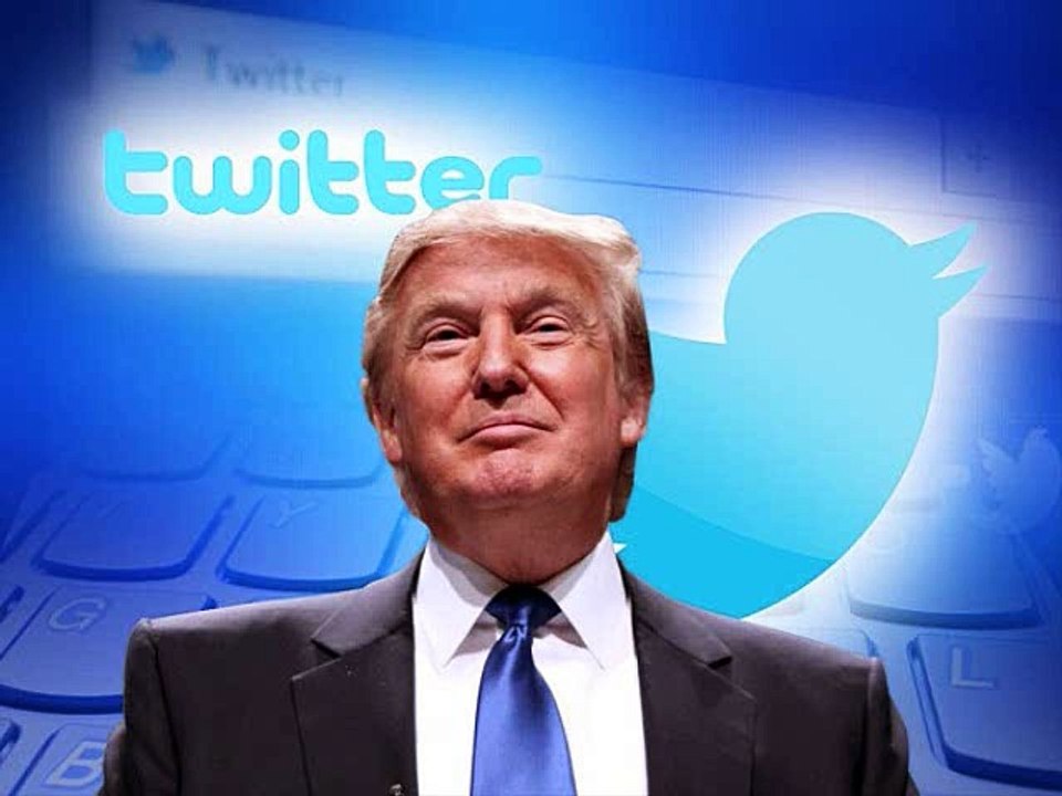 Dear Mr. President by Mariachis Gringos