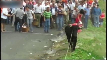 Funny Videos- Bulls vs People Full Enjoyment - YouTube