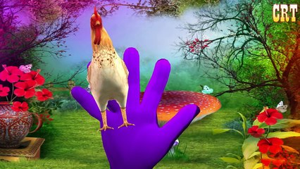 Животные мультфильмы сборник Семья палец для Дети питомник рифмы ||