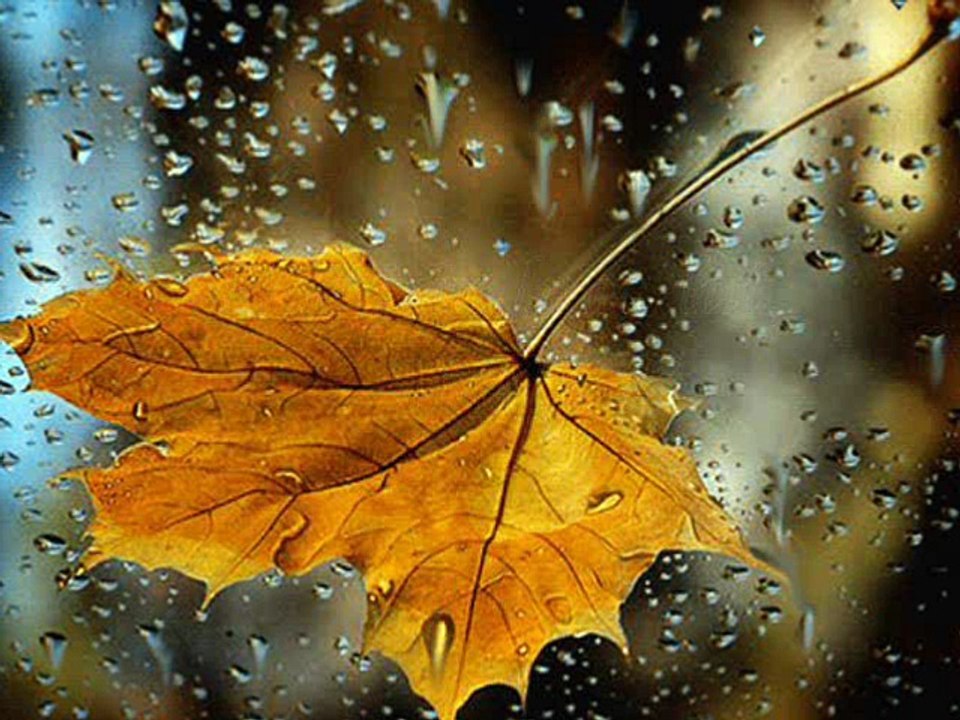 Nichita Stănescu-Nicu Alifantis-Ploaie în luna lui Marte