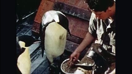 admiral byrd's antartic expedition pt2