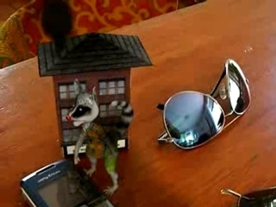 racoon cartoon