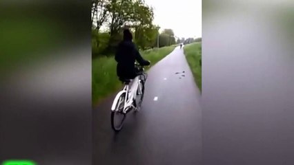 Indian Funny Videos - Funny videos 2017 - Whatsapp Funny Vid