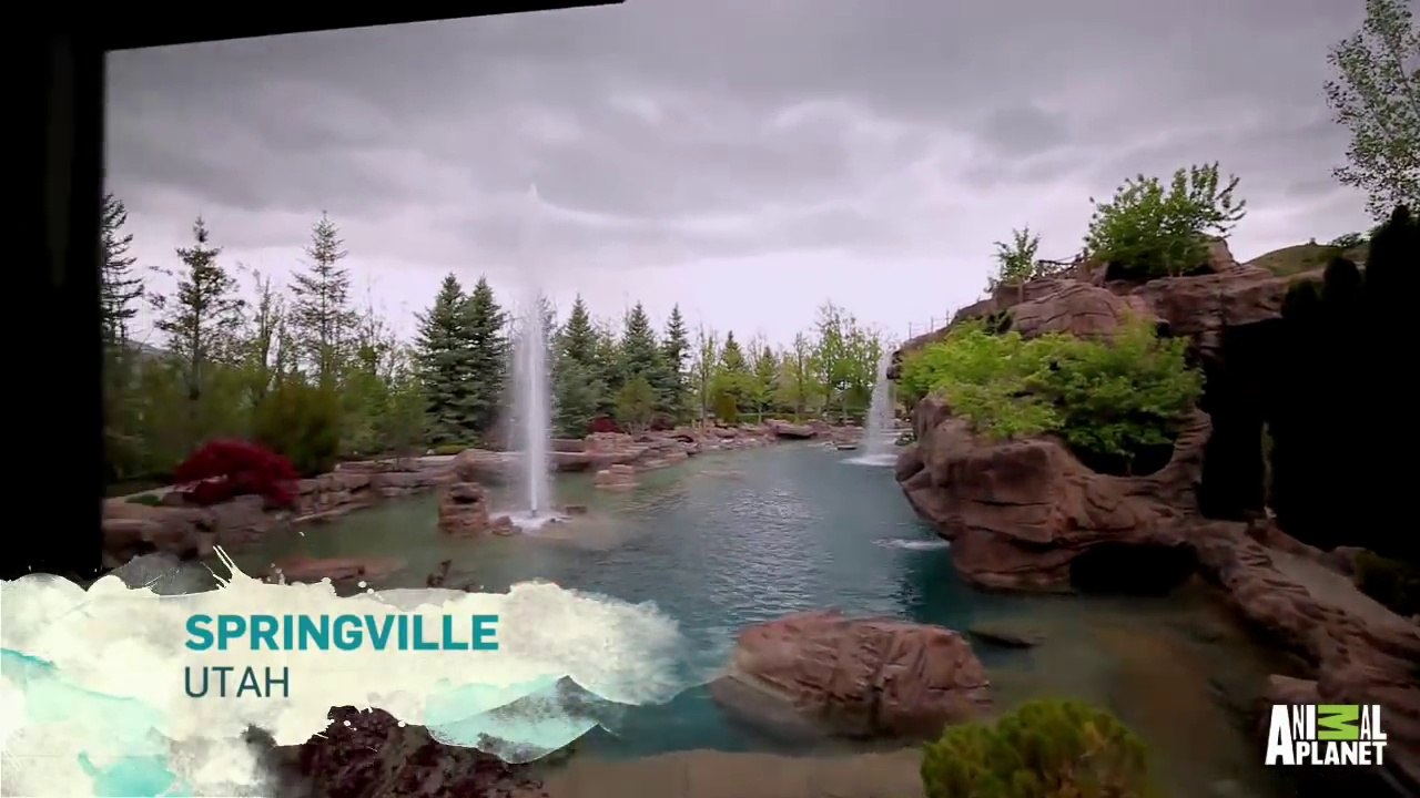 Découvrez la plus belle piscine du monde ! le rêve...