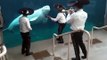 Musique mexicaine jouée à une baleine Beluga à la trompette dans son aquarium !