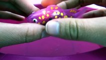 AquaBot 1.0 by HexBug versus Robo Fish by Zuru - Which Robotic Fish pet is right for you ?