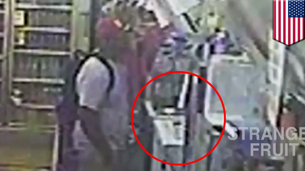 Weed deal video counters cops’ Michael Brown shooting claims