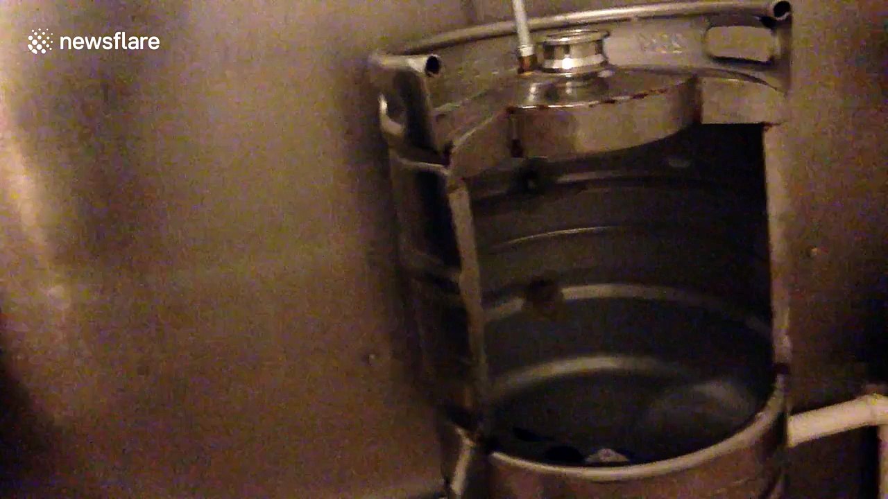 Irish pub uses beer kegs as toilets