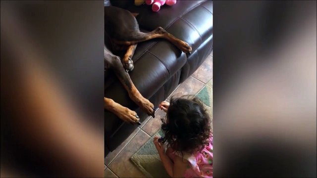 Petite séance de pedicure pour le chien... Vernis à ongle