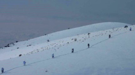 70 Terörist Etkisiz Hale Getirildi