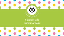 Female pet names for dogs - www.namesoftheworld.net