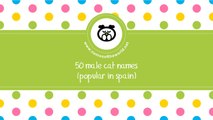 50 male cat names popular in Spain - www.namesoftheworld.net
