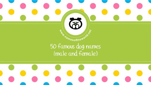 famous dog names male
