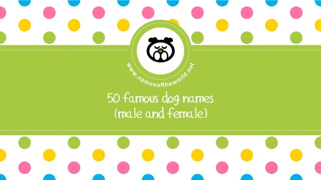50 famous dog names male and female - best dog names - namesoftheworld.net