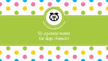 50 japanese names for female dogs -  best dog names - www.namesoftheworld.net