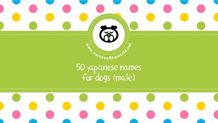 50 japanese names for male dogs -  best dog names - www.namesoftheworld.net