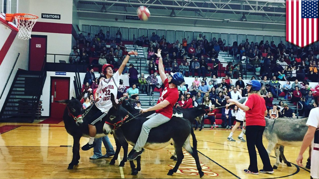 Donkey basketball fundraiser criticized for animal cruelty