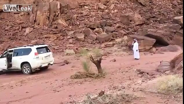 Mère Nature se venge de deux hommes qui essayent d'arracher un vieil arbre